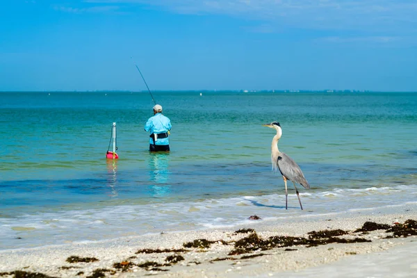 Fort Myers Beach — Stockfoto