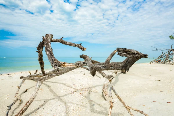 Spiaggia di Fort Myers — Foto Stock