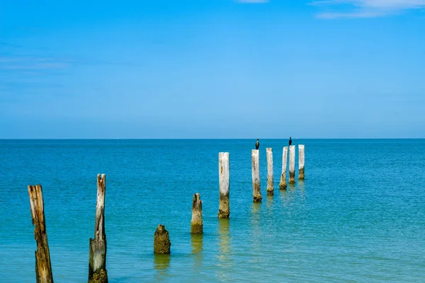 Plage de Fort Myers — Photo