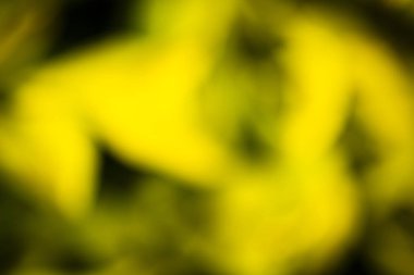 soyut bitki arka plan