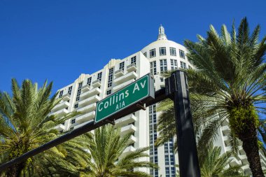 güzel miami beach 