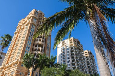 Coral Gables Cityscape