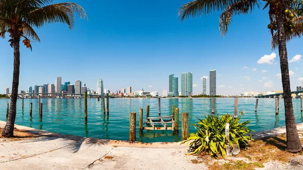 Downtown Miami Skyline Uitzicht Vanaf Watson Island — Stockfoto