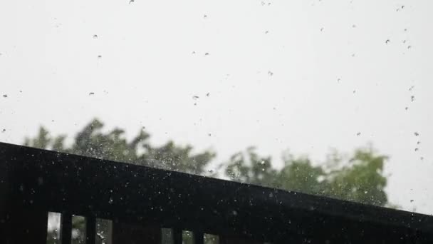 Det Regnigt Och Blåsigt Idag — Stockvideo