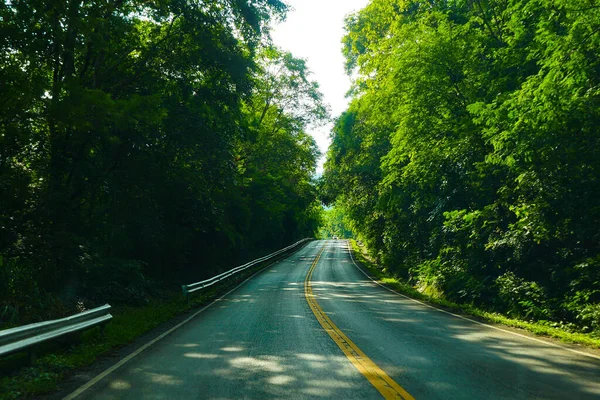 Carretera Naturaleza Forestal Tailandia — Foto de Stock