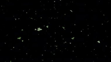 Yeşil yapraklar yeşil ekran arkaplanı ile yere düşüyor.