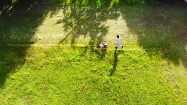 Çimlerde çim biçen adam