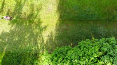 Çimlerde çim biçen adam