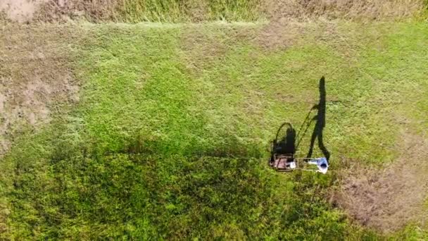 O homem cortando grama em um gramado — Vídeo de Stock