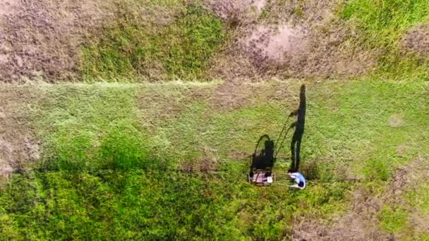 The man mowing grass in a lawn — Stock Video