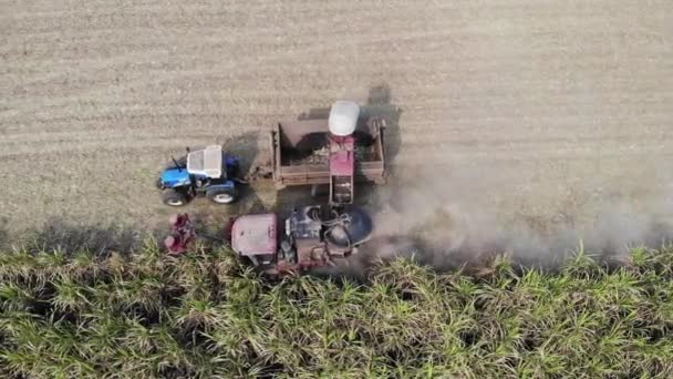 Veduta Aerea Della Raccolta Della Canna Zucchero — Video Stock