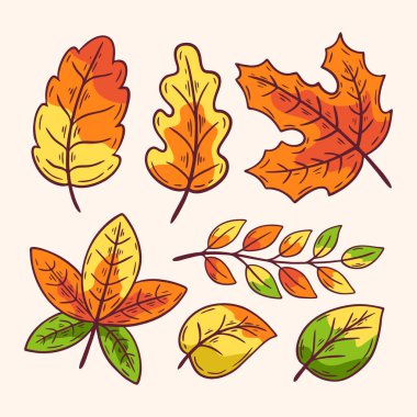 Autumn Leaves Collection Seasonal güz yaprakları vektör çizimi arka plan, desenler, davetiyeler, mevsimsel tasarımlar ve dekoratif projeler için mükemmeldir.