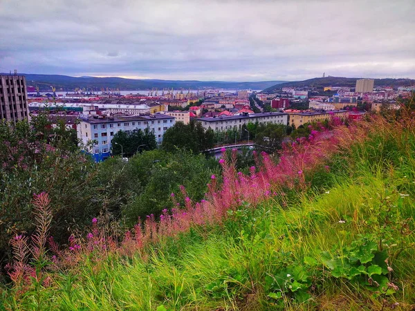 Murmansk şehir bir ülke görünümü yayılıyor