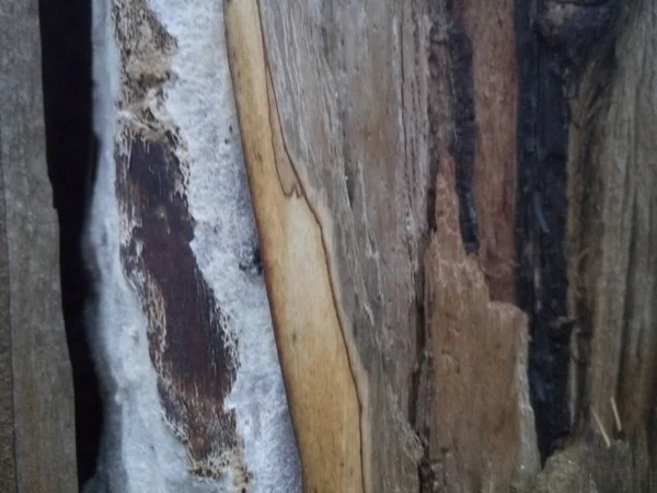 wood, texture, background, floor, old, wall, plank, brown, hardwood, pattern, timber,