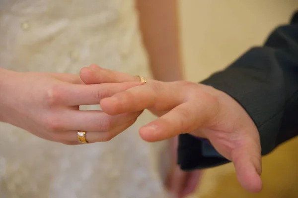 newlyweds wear rings at the wedding