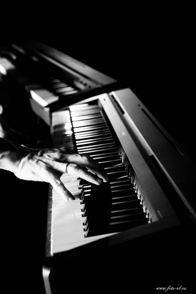 pianist tunes instrument, piano, music, black, musical, white, keyboard