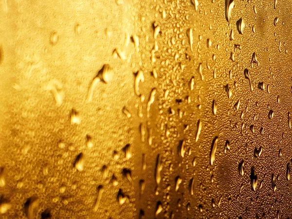 golden drops from the sun on the glass