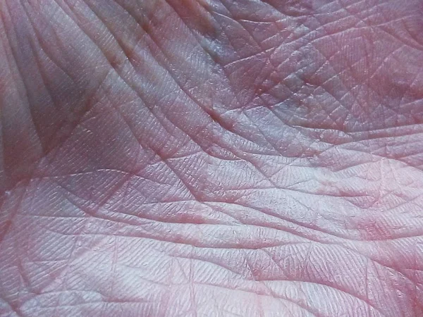 human skin texture closeup