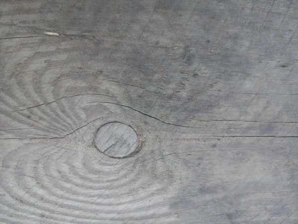 close-up gray wood texture