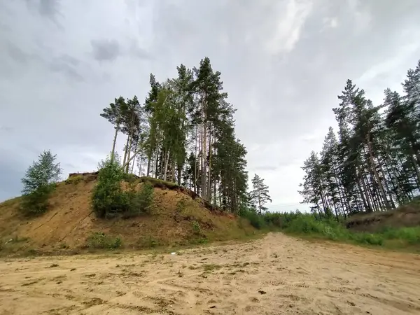Ein Hügel Mit Hohen Kiefern Einem Steinbruch Russland — Stockfoto