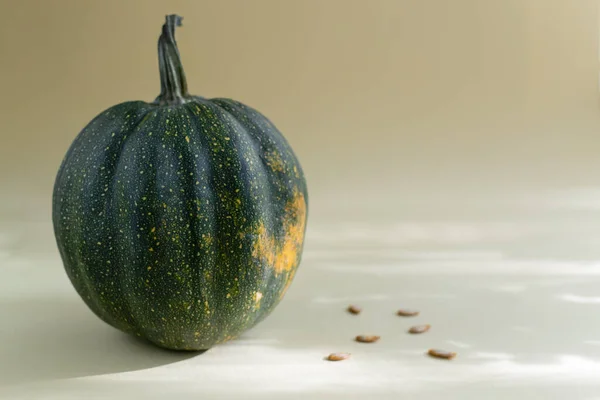 Calabaza Color Verde Con Puntos Amarillos Semillas Sobre Fondo Amarillo — Foto de Stock