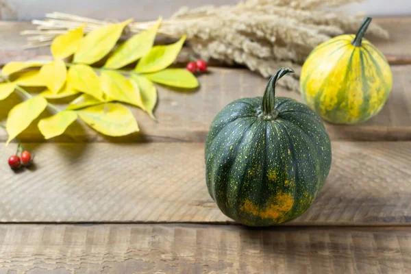 Two Ripe Pumpkins Autumn Leaves Rose Hips Wooden Background Selective — Stock Photo, Image