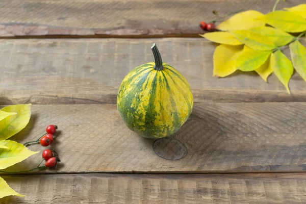 Small Yellow Green Pumpkin Autumn Leaves Rose Hips Wooden Background — Stock Photo, Image