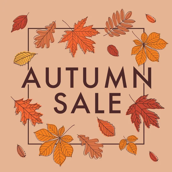 Fall Leaves Autumn Sale Promotional Poster Hand Drawn Autumn Leaves — Stock Vector