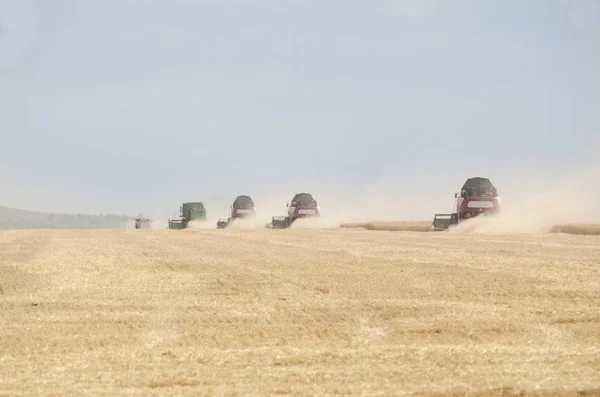 Combines Field Wheat Harvested — Stock Photo, Image