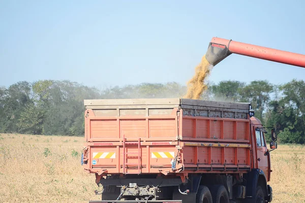 Grano Duermen Coche Cosechadora Campo —  Fotos de Stock