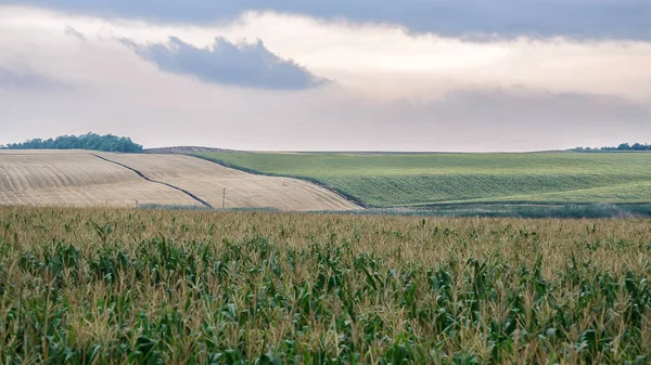 Campo de paisaje —  Fotos de Stock