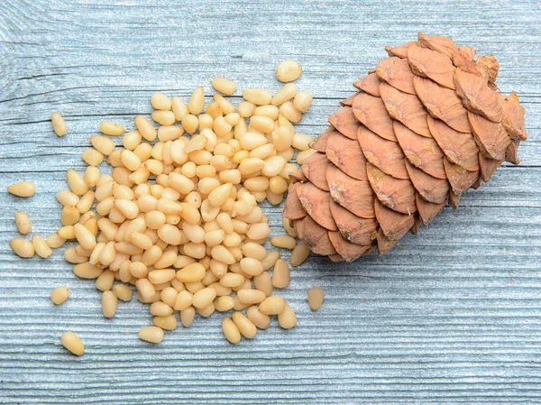 Cedar cone and seeds Stock Photo