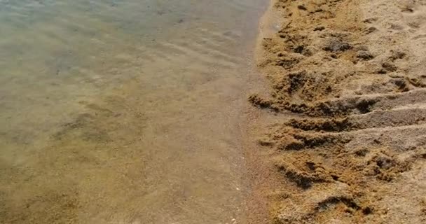 Хвилі чистої води вздовж пляжу, спекотне літо — стокове відео
