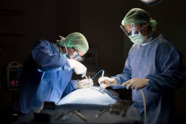 Asyalı doktor ve asistan Hastanesi'nde ameliyat Venöz damar cerrahisi Kliniği için ameliyathanede.