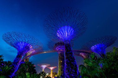 Supertree Bahçe geceleri, Körfez, Singapur Bahçe