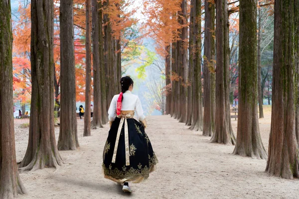 아시아 섬이을 시즌에 서울에 전통적인 드레스 — 스톡 사진