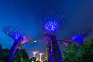 Supertree Bahçe geceleri, Körfez, Singapur Bahçe