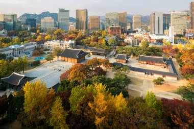 Sonbahar sezonu Deoksugung Sarayı ve Seoul şehir Seul, Güney Kore. 