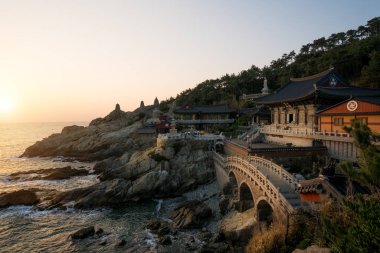 Haedong Yonggungsa Tapınağı sabah Busan, Güney Kore.