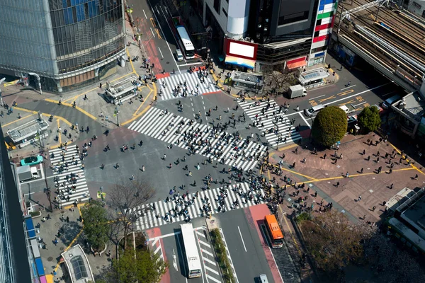 Tokyo, Japonya görünümü Shibuya uygularken, Tokyo, Japonya'nın en işlek crosswalks biri.