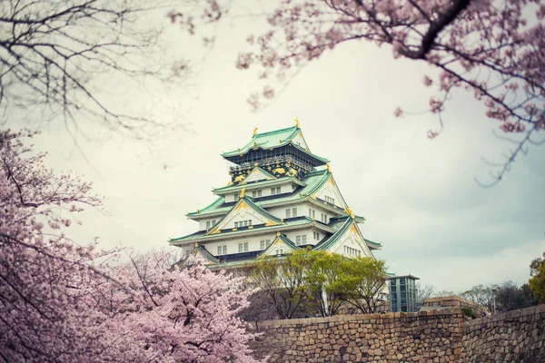 Château Osaka Avec Fleur Cerisier Osaka Japon Japon Printemps Belle — Photo