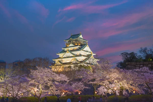 Osaka Japon Château Osaka Pendant Saison Des Fleurs Cerisier Printemps — Photo