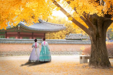 Asyalı Koreli kadın Hanbok ben yürüme geleneksel elbise giymiş.