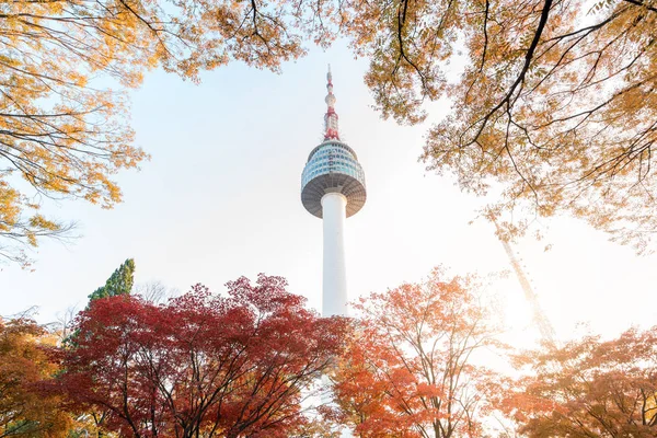 Seoul башта з жовтим і червоним осінь Кленові листи на Namsan mo — стокове фото