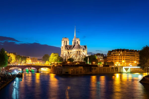 Senna e Notre Dame de Paris di notte a Parigi, Francia . — Foto Stock