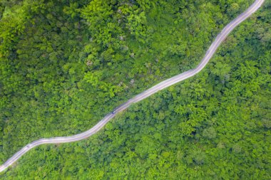Tropikal yağmur ormanlarından geçen dağ yolu üzerinde havadan görünüm