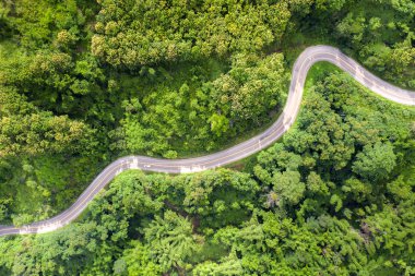 Tropikal yağmur ormanlarından geçen dağ yolu üzerinde havadan görünüm