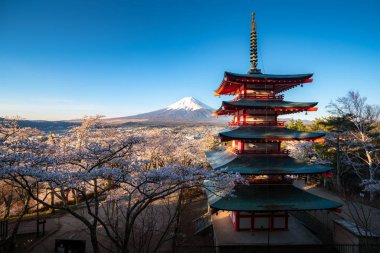 Fujiyoshida, Japonya Chureito Pagoda ve Mt. Fuji ilkbaharda