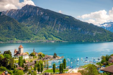 Sw Bernese Oberland Spiez Thun gölü üzerinde Spiez kale