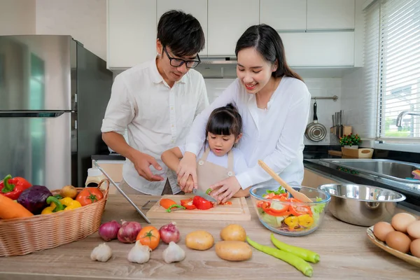 Madre asiática enseñando a su hija ensalada de verduras ralladas con — Foto de Stock